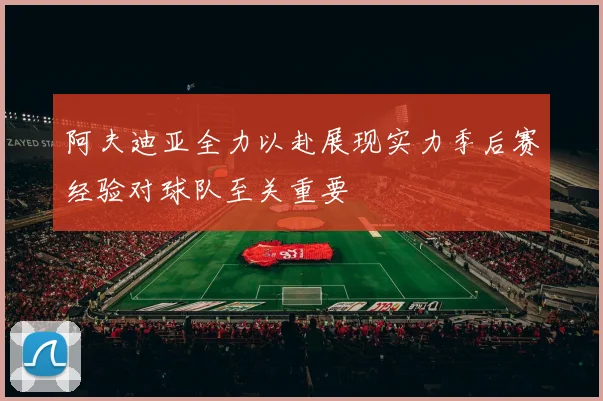 阿夫迪亚全力以赴展现实力季后赛经验对球队至关重要